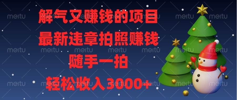 （13686期）解气又赚钱的项目，最新违章拍照赚钱，随手一拍，轻松收入3000+-赛德副业库
