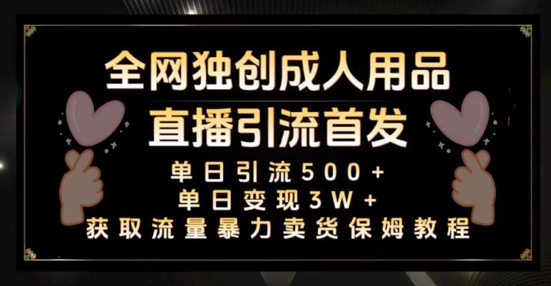 全网独创真人主播+无人直播单日引流500+，橙人用品暴力卖货单日变现3W+保姆似教学2.0【揭秘】-赛德副业库