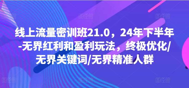 线上流量密训班21.0，24年下半年-无界红利和盈利玩法，终极优化/无界关键词/无界精准人群-赛德副业库