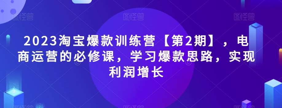 2023淘宝爆款训练营【第2期】，电商运营的必修课，学习爆款思路，实现利润增长-赛德副业库