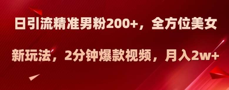 日引流精准男粉200+，全方位美女新玩法，2分钟爆款视频，月入2w+【揭秘】-赛德副业库