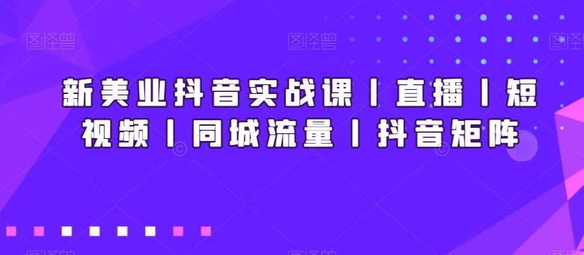 新美业抖音实战课丨直播丨短视频丨同城流量丨抖音矩阵-赛德副业库