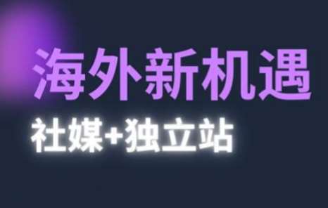 2025出海新机遇(社媒+独立站)，海外新机遇，实现独立站的高效运营与出海-赛德副业库