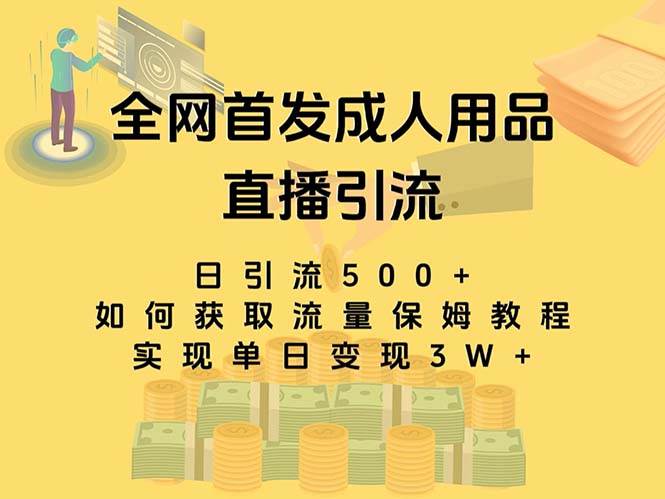 （8193期）最新全网独创首发，成人用品直播引流获客暴力玩法，单日变现3w保姆级教程-赛德副业库