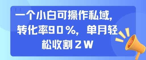 一个小白可操作私域，转化率90%，单月轻松收割2W-赛德副业库