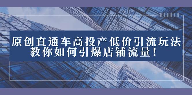 （8197期）2023直通车高投产低价引流玩法，教你如何引爆店铺流量！-赛德副业库