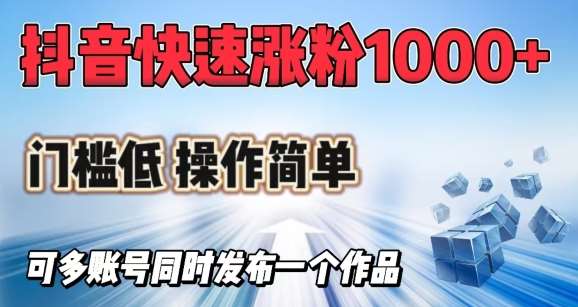 抖音快速涨1000+粉，门槛低操作简单，可多账号同时发布一个作品-赛德副业库