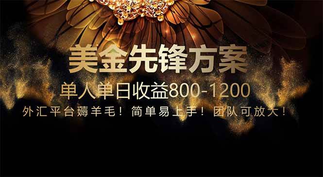 (14761期)免费技术!小众赛道!一年布局抵三年努力,每日800+-赛德副业库