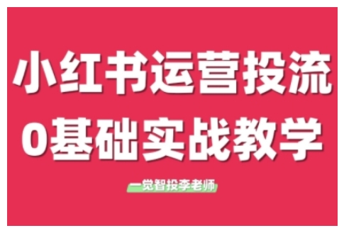 小红书运营投流，小红书广告投放从0到1的实战课，学完即可开始投放（更新）-赛德副业库