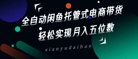 全自动闲鱼托管式电商带货,轻松实现月入五位数【揭秘】-赛德副业库