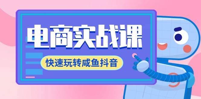 （9528期）电商实战课，快速玩转咸鱼抖音，全体系全流程精细化咸鱼电商运营-71节课-赛德副业库