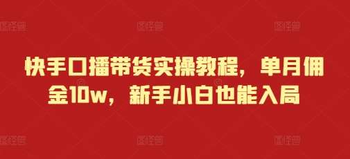 快手口播带货实操教程，单月佣金10w，新手小白也能入局-赛德副业库