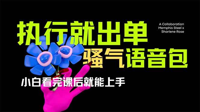 (14170期)爆火全网的开车导航骚气语音包,只要执行就出单,小白看完课程就能实操...-赛德副业库