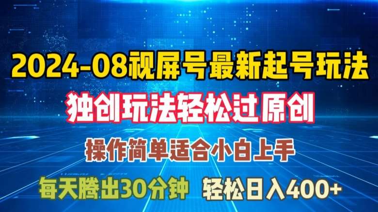 08月视频号最新起号玩法，独特方法过原创日入三位数轻轻松松【揭秘】-赛德副业库