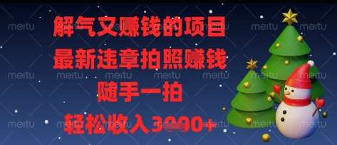 解气又挣钱的项目，最新违章拍照挣钱，随手一拍，轻松收入多张【揭秘】-赛德副业库
