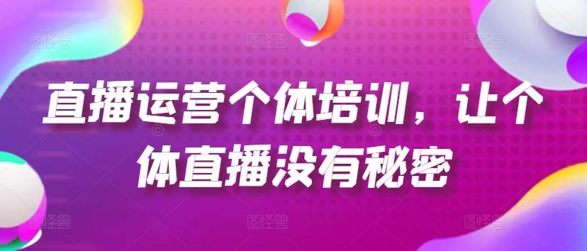 直播运营个体培训，让个体直播没有秘密，起号、货源、单品打爆、投流等玩法-赛德副业库