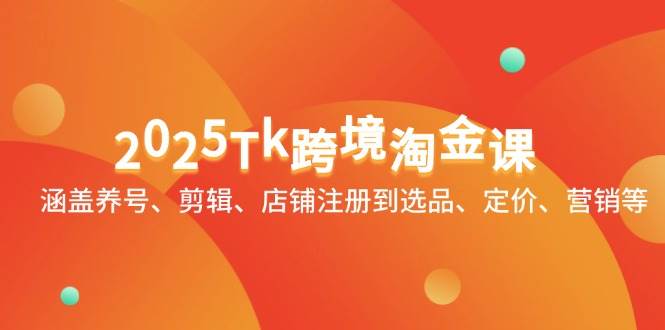 （14638期）2025Tk跨境淘金课：涵盖养号、剪辑、店铺注册到选品、定价、营销等-赛德副业库