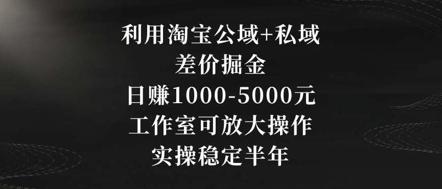 利用淘宝公域+私域差价掘金，日赚1000-5000元，工作室可放大操作，实操稳定半年【揭秘】-赛德副业库