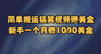 简单搬运搞笑视频挣美金,新手一个月入1k美金-赛德副业库