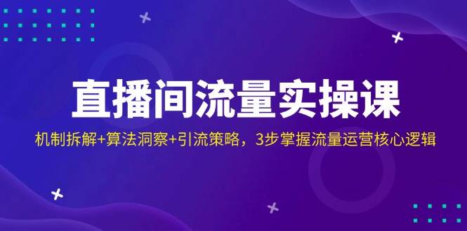 （14122期）直播间流量实操课：机制拆解+算法洞察+引流策略，3步掌握流量运营核心逻辑-赛德副业库