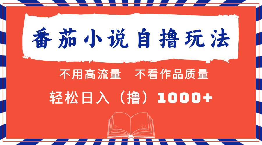 （13014期）番茄小说最新自撸 不看流量 不看质量 轻松日入1000+-赛德副业库