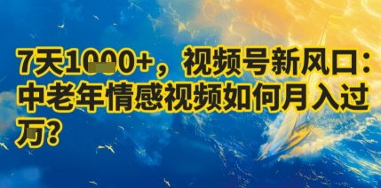 7天收益1k+,视频号新风口:中老年情感视频如何月入过W?-赛德副业库