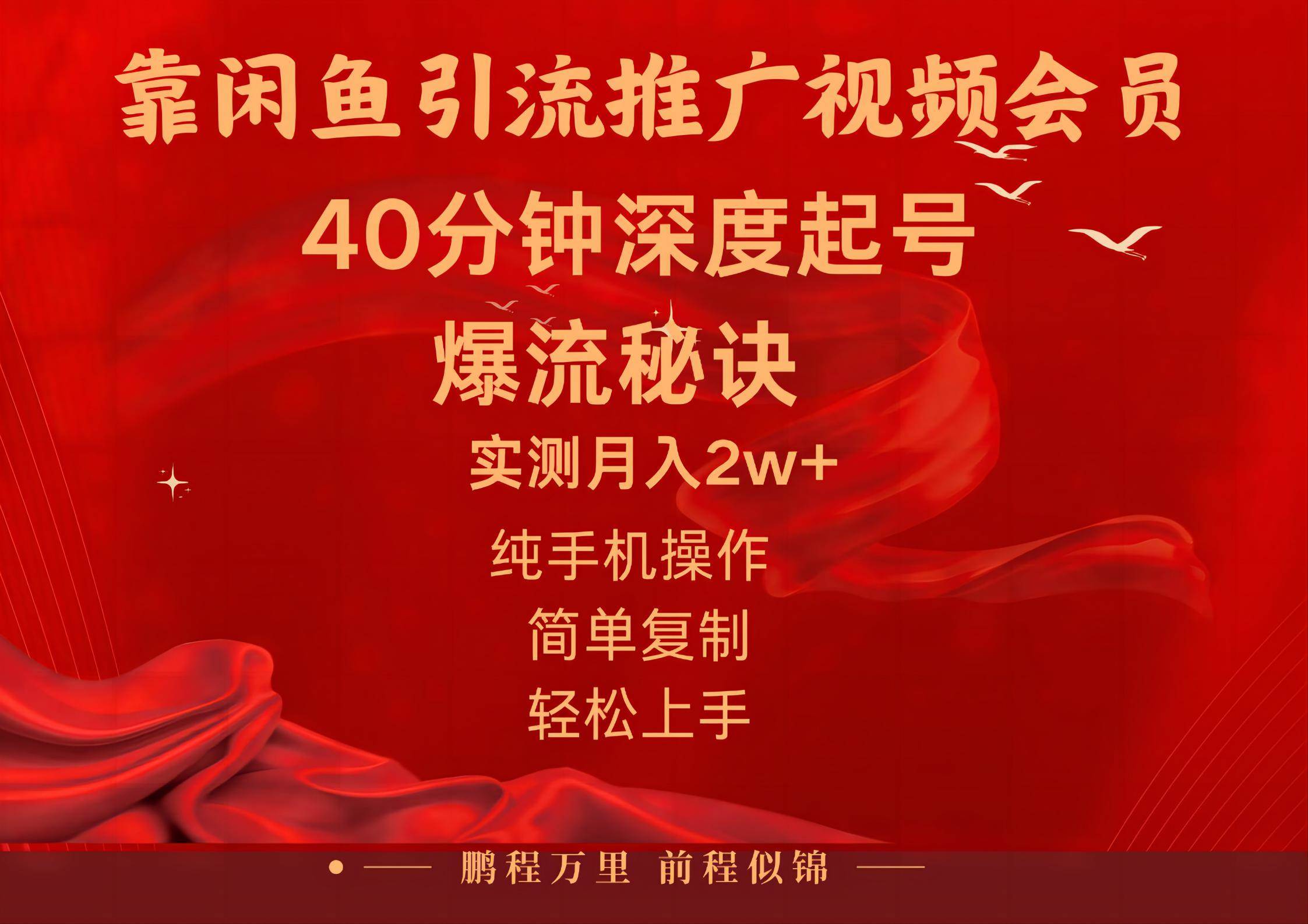（10896期）闲鱼暴力引流推广视频会员，能做到日入2W+，操作简单-赛德副业库