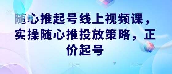 随心推起号线上视频课，实操随心推投放策略，正价起号-赛德副业库