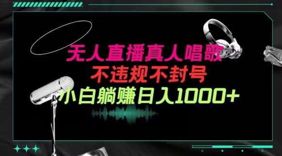 抖音24小时无人直播音乐，不违规，不封号纯撸音浪，小白实操当天日入1000+【揭秘】-赛德副业库