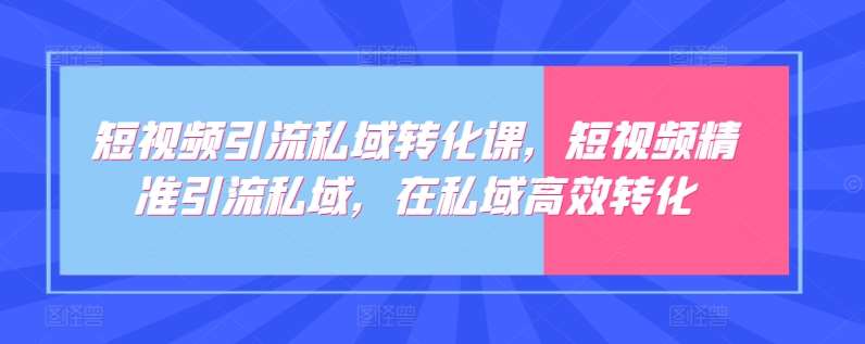 短视频引流私域转化课，短视频精准引流私域，在私域高效转化-赛德副业库