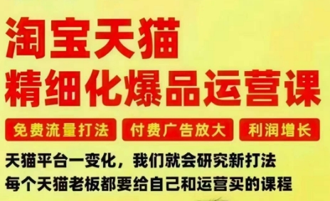 淘宝天猫精细化爆品运营课，免费流量打法-付费广告放大-利润增长-三大核心痛点，一次全部解决-赛德副业库