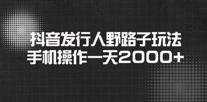 （14068期）抖音发行人野路子玩法，手机操作一天2000+-赛德副业库