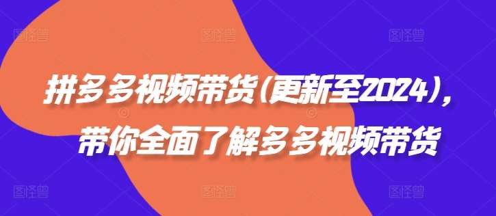拼多多视频带货(更新至2024)，带你全面了解多多视频带货-赛德副业库