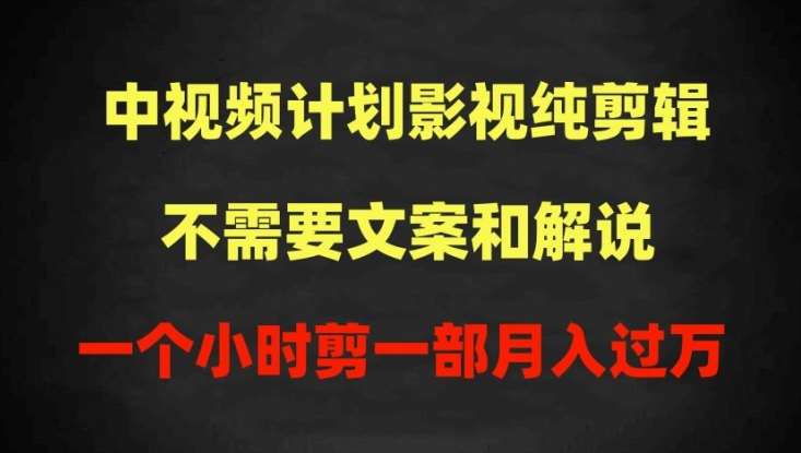 中视频计划影视纯剪辑，不需要文案和解说，一个小时剪一部，100%过原创月入过万【揭秘】-赛德副业库