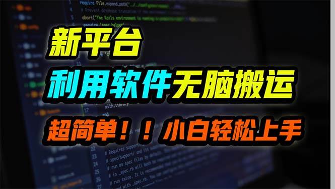 （9745期）新平台用软件无脑搬运，月赚10000+，小白也能轻松上手-赛德副业库
