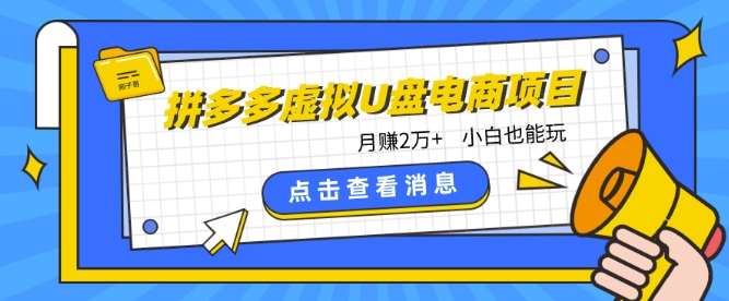 拼多多虚拟U盘电商红利项目：月赚2万+，新手小白也能玩-赛德副业库
