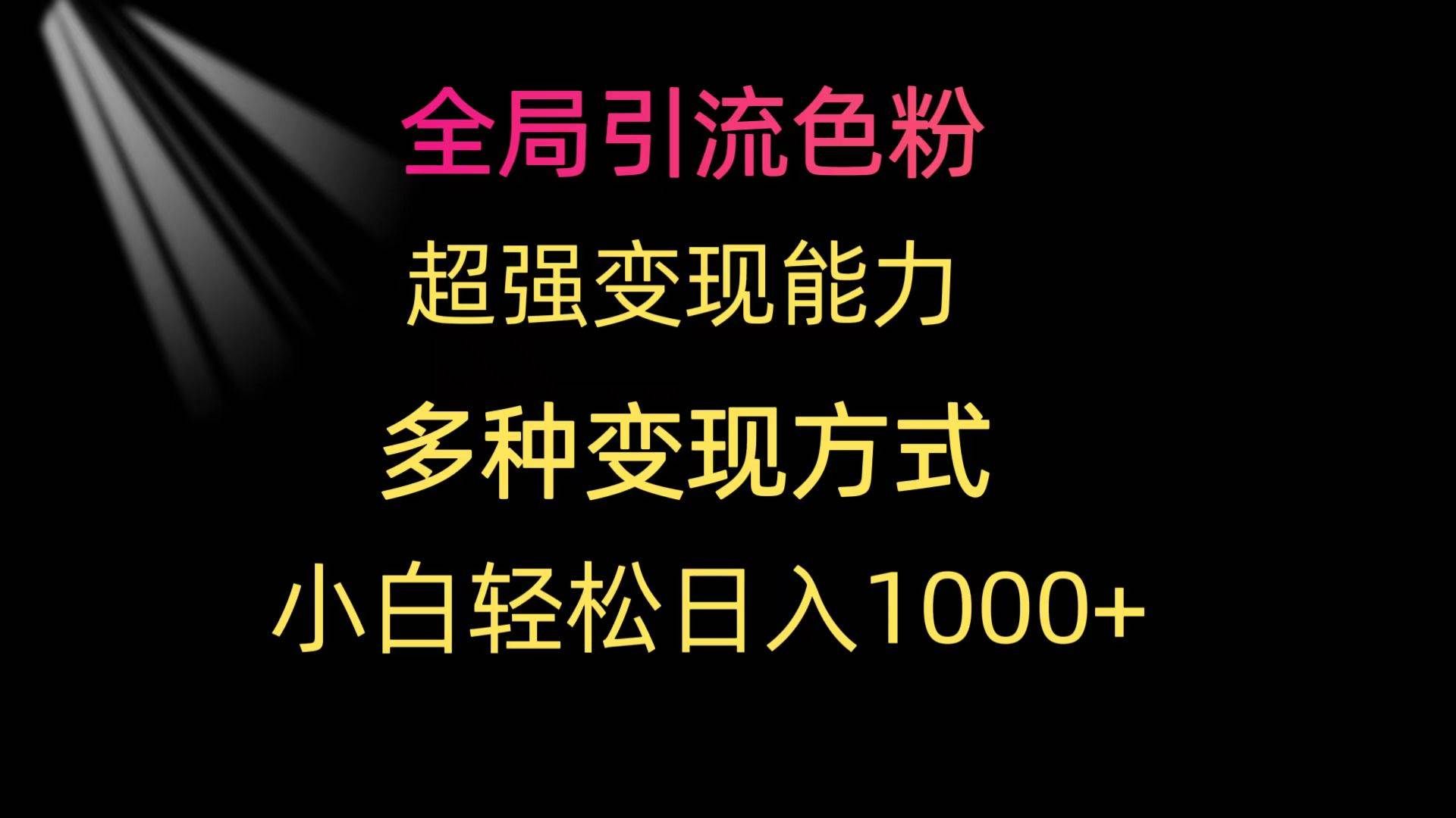 （9680期）全局引流色粉 超强变现能力 多种变现方式 小白轻松日入1000+-赛德副业库