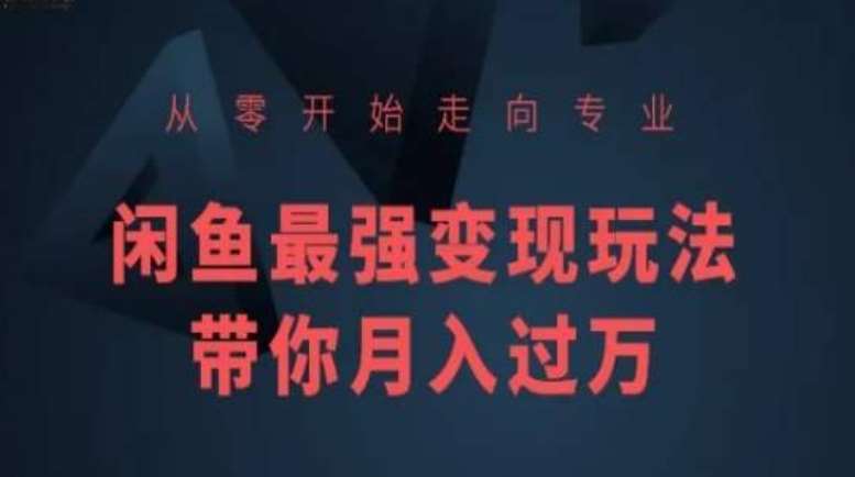 从零开始走向专业，闲鱼最强变现玩法带你月入过万-赛德副业库