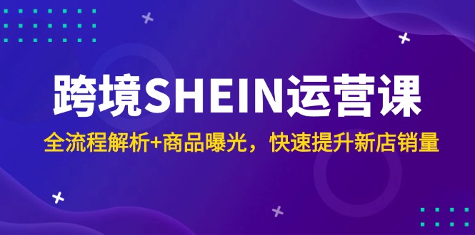 （14832期）跨境SHEIN运营课，全流程解析+商品曝光，快速提升新店销量-赛德副业库