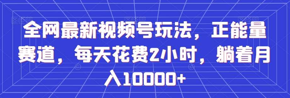 全网最新视频号玩法，正能量赛道，每天花费2小时，躺着月入10000+【揭秘】-赛德副业库