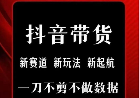 抖音短视频一刀不剪带货，不剪辑，不直播，每天发个视频，等着出单获取带货佣金-赛德副业库