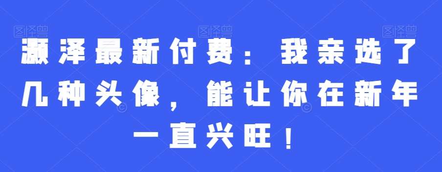 灏泽最新付费：我亲选了几种头像，能让你在新年一直兴旺！-赛德副业库