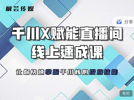 枫芸传媒-线上千川提升课，提升千川认知，提升千川投放效果-赛德副业库