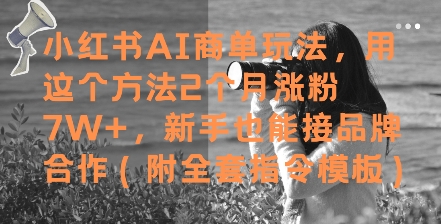 小红书AI商单玩法,用这个方法2个月涨粉7W+,新手也能接品牌合作(附全套指令模板)-赛德副业库