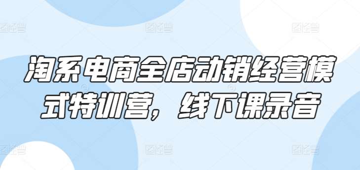 淘系电商全店动销经营模式特训营，线下课录音-赛德副业库