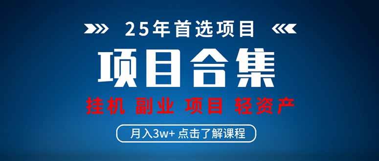 （14175期）2025 实操项目合集 挂机类型 直播类型 轻资产创业类型 课程分享各项目...-赛德副业库