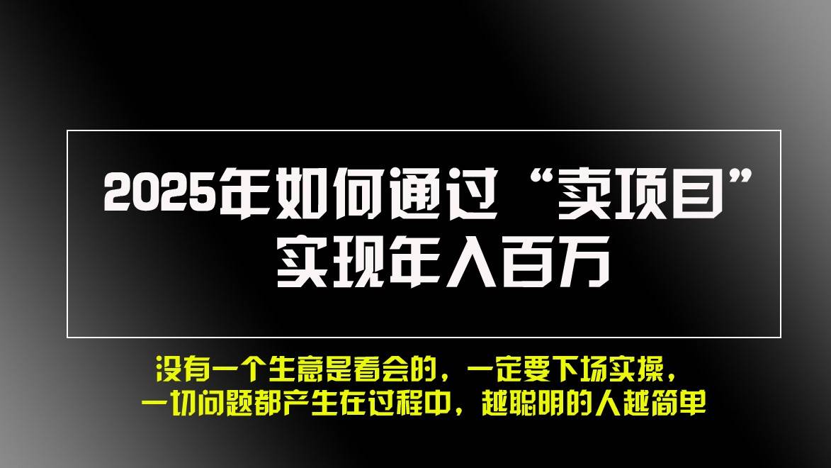 2025年如何通过“卖项目”实现年入百万-赛德副业库