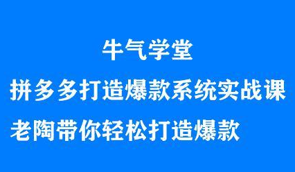牛气学堂拼多多打造爆款系统实战课，老陶带你轻松打造爆款-赛德副业库