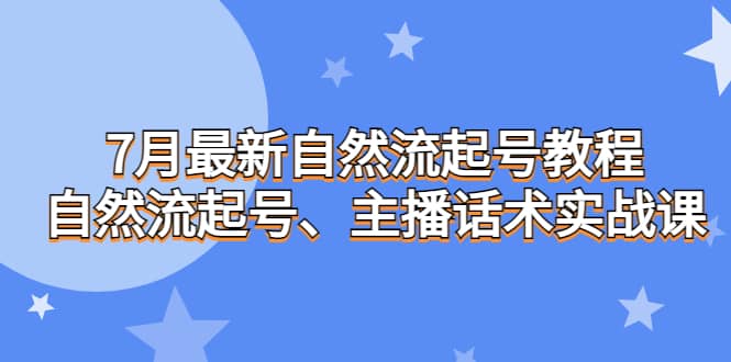 7月最新自然流起号教程，自然流起号、主播话术实战课-赛德副业库