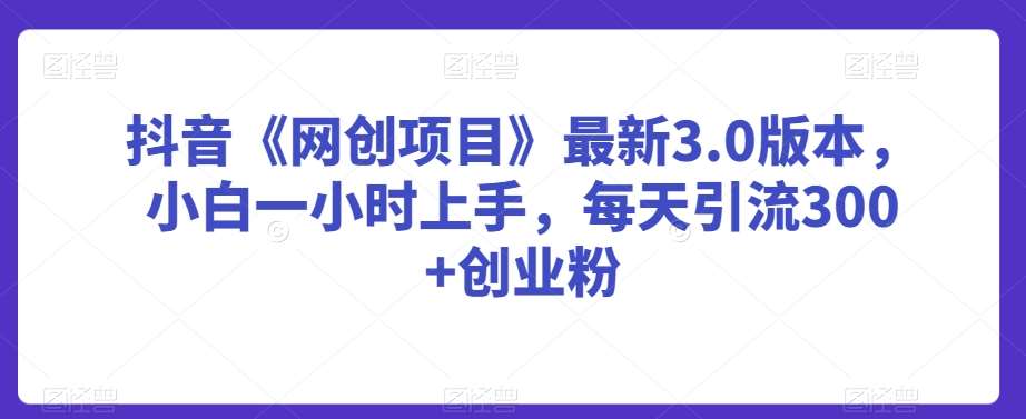 抖音《网创项目》最新3.0版本,小白一小时上手,每天引流300+创业粉【揭秘】-赛德副业库